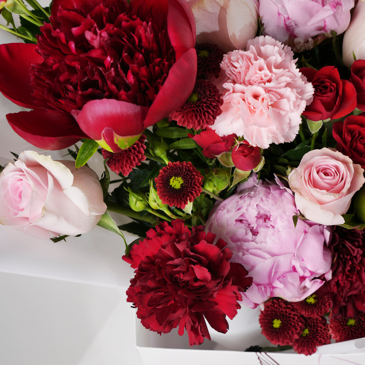 Rouge Peony