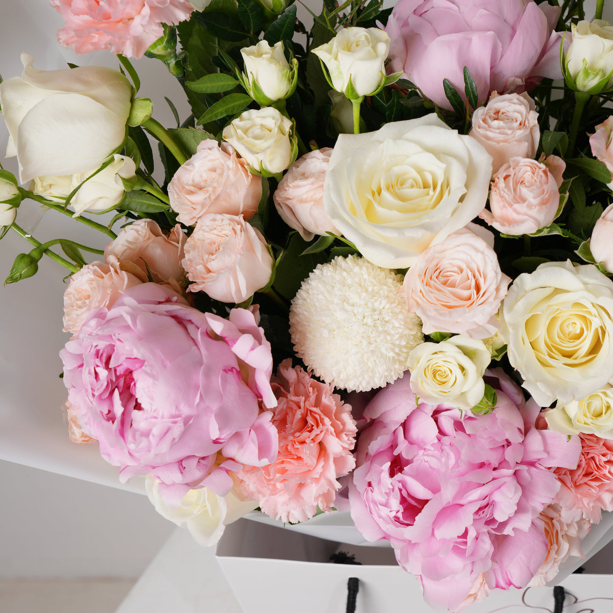 Soft Peony