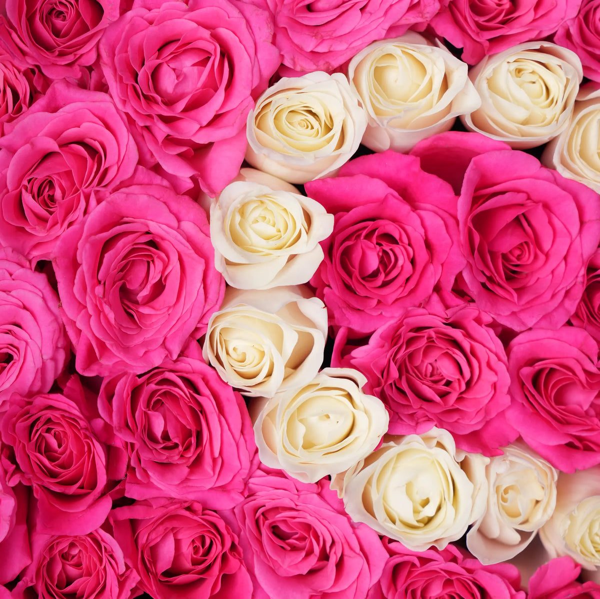 Congratulations Pink Letter Hatbox