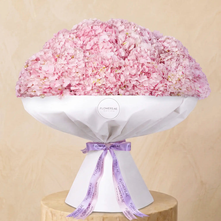 Pink Hydrangea