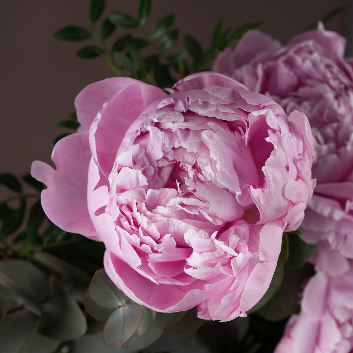 Petite Pink Peony Hatbox (old)