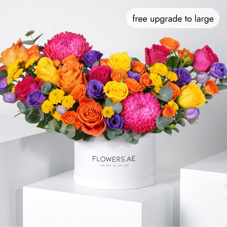 Vibrant Hatbox