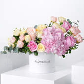 Petite Pink Florence Hatbox