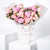 Pink Peony