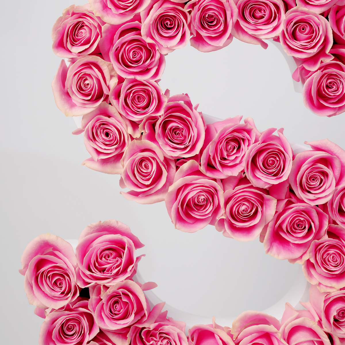 Rose Letter