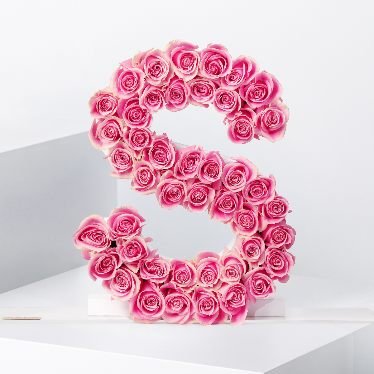 Rose Letter