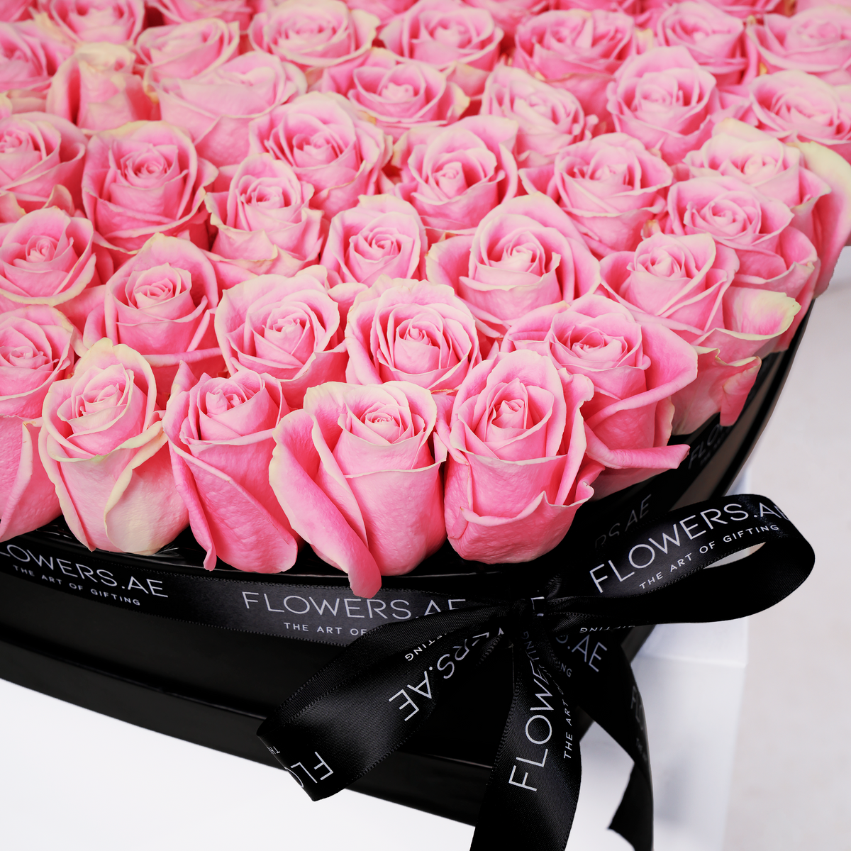 Valentine Pink Heart - XL