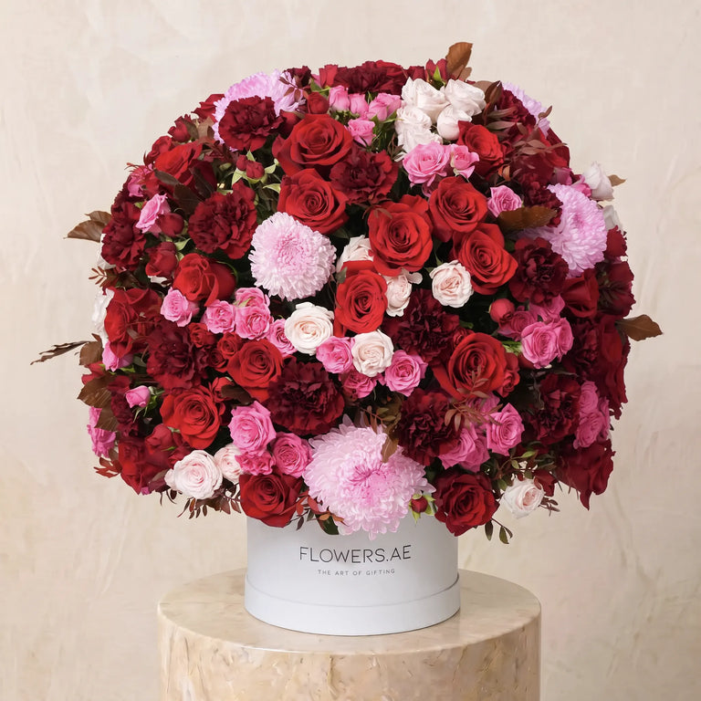 Farah Hatbox