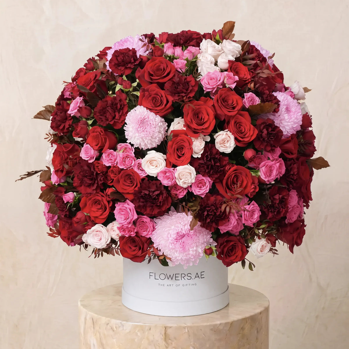 Farah Hatbox
