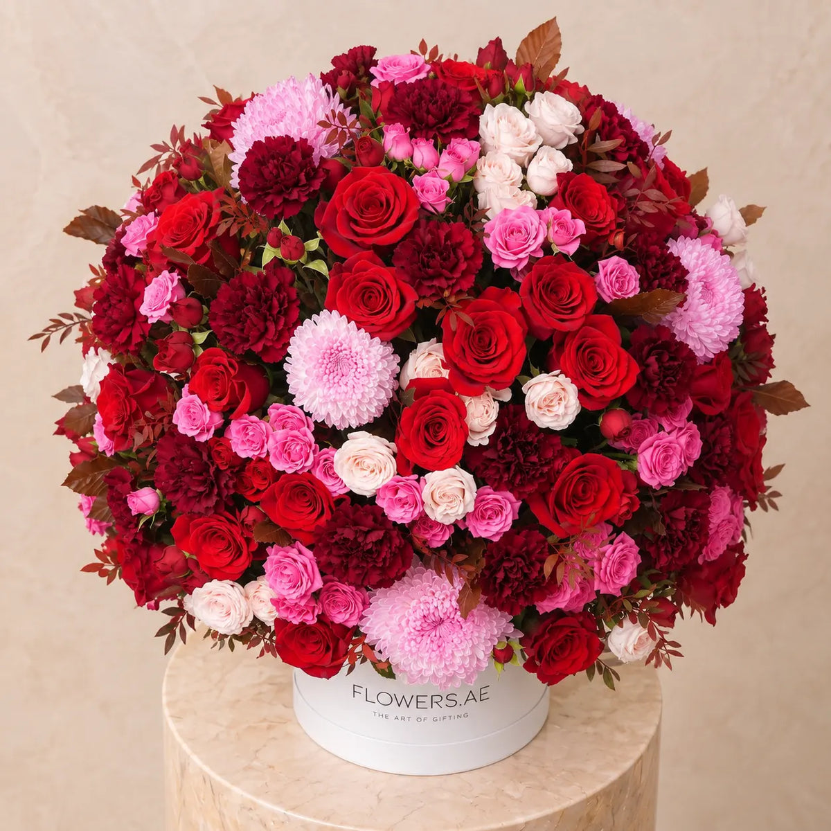 Farah Hatbox