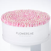 500 Pink Roses XXXL