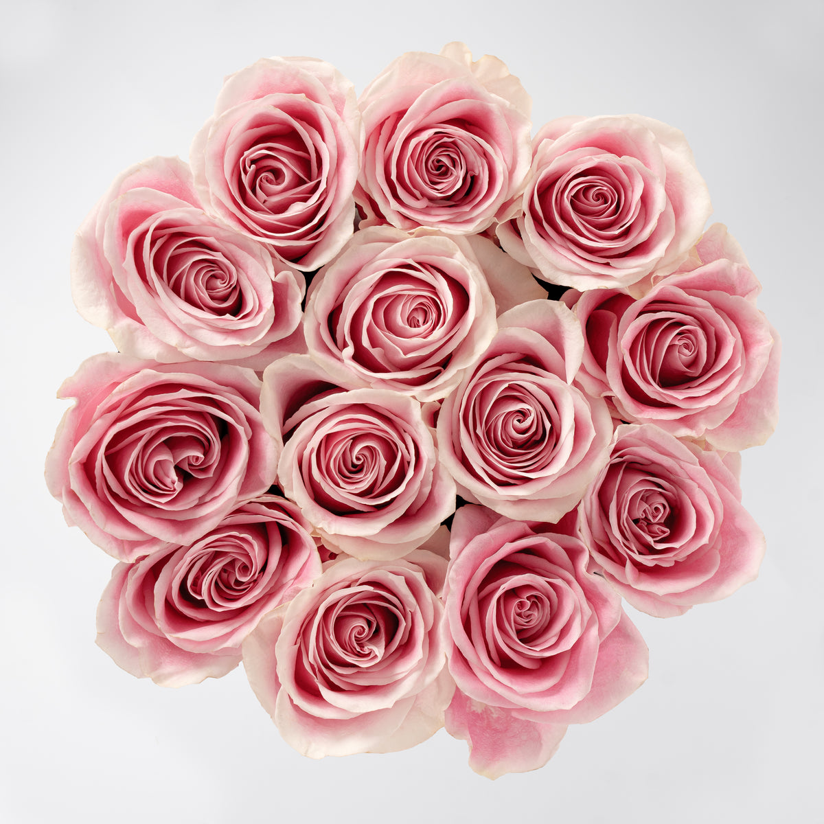 Anniversary Petite Pink Roses Hatbox (Cake Gift Set)