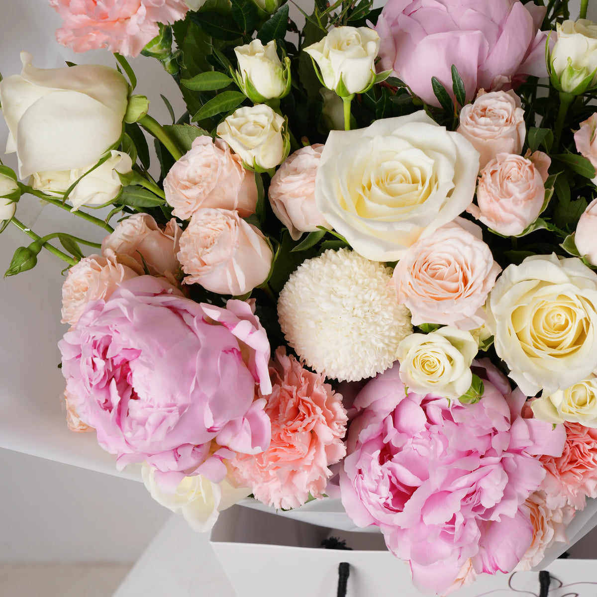 Congratulations Soft Peony
