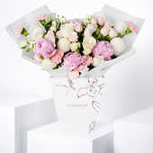 Soft Peony