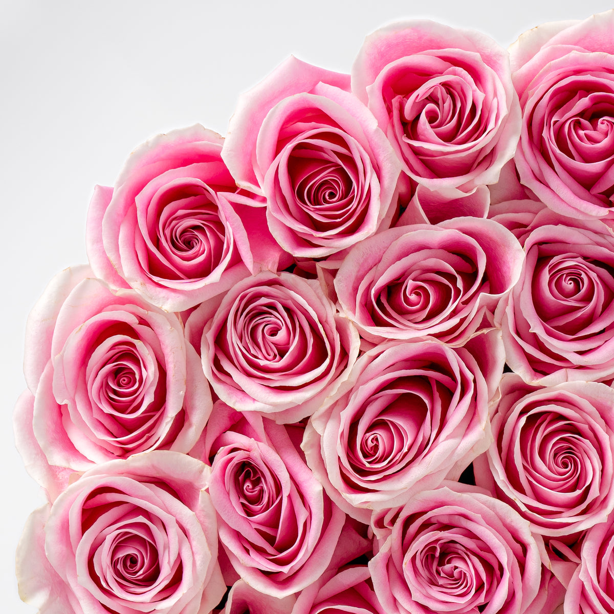 Valentine Pink Heart - Large