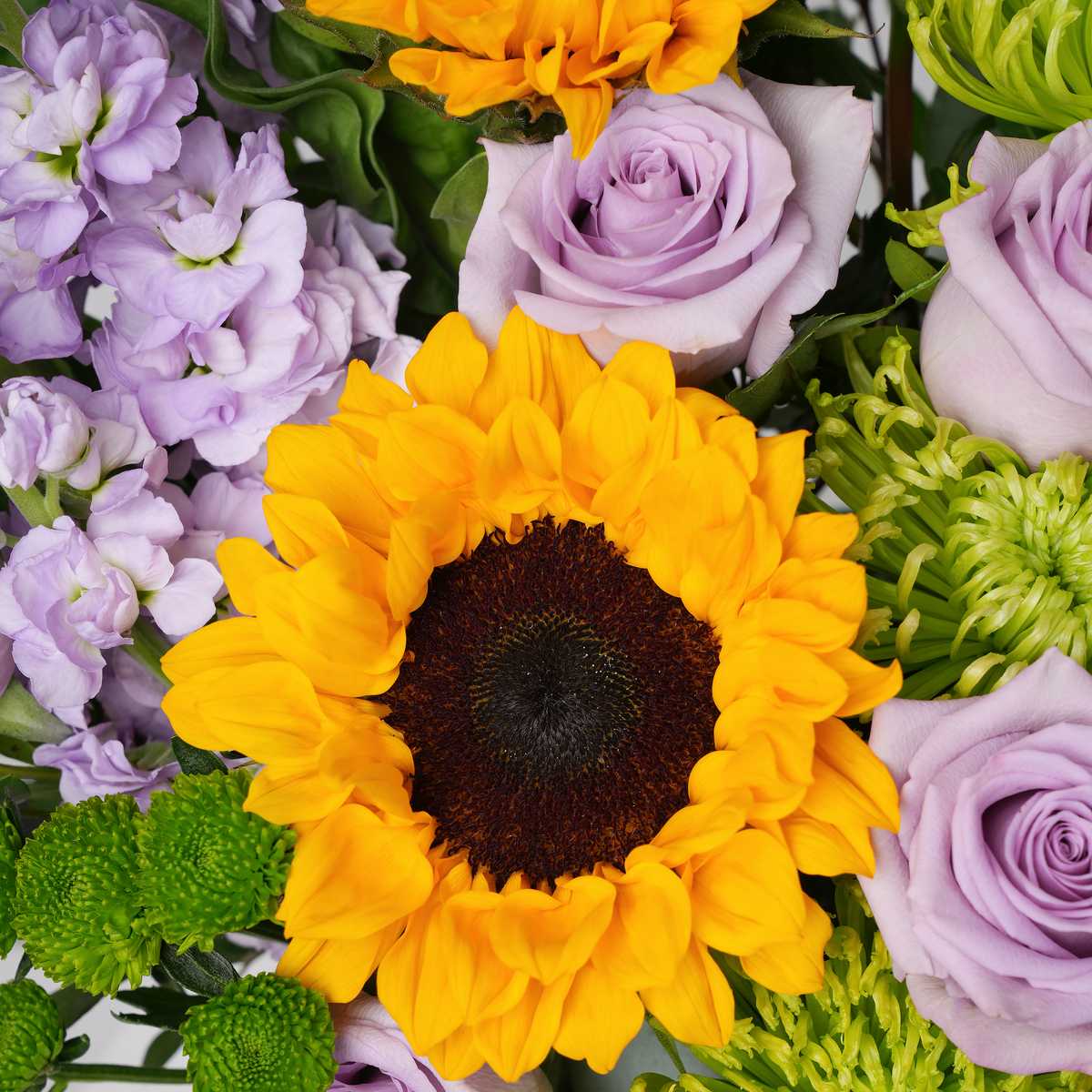 Provence Vase
