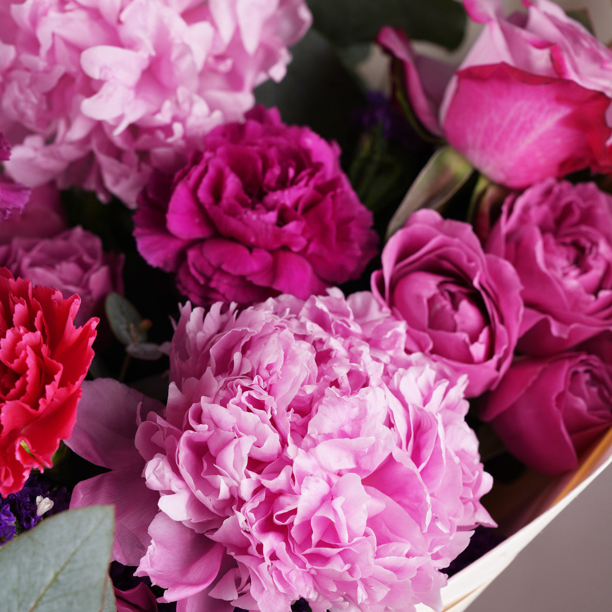 Purple Peony