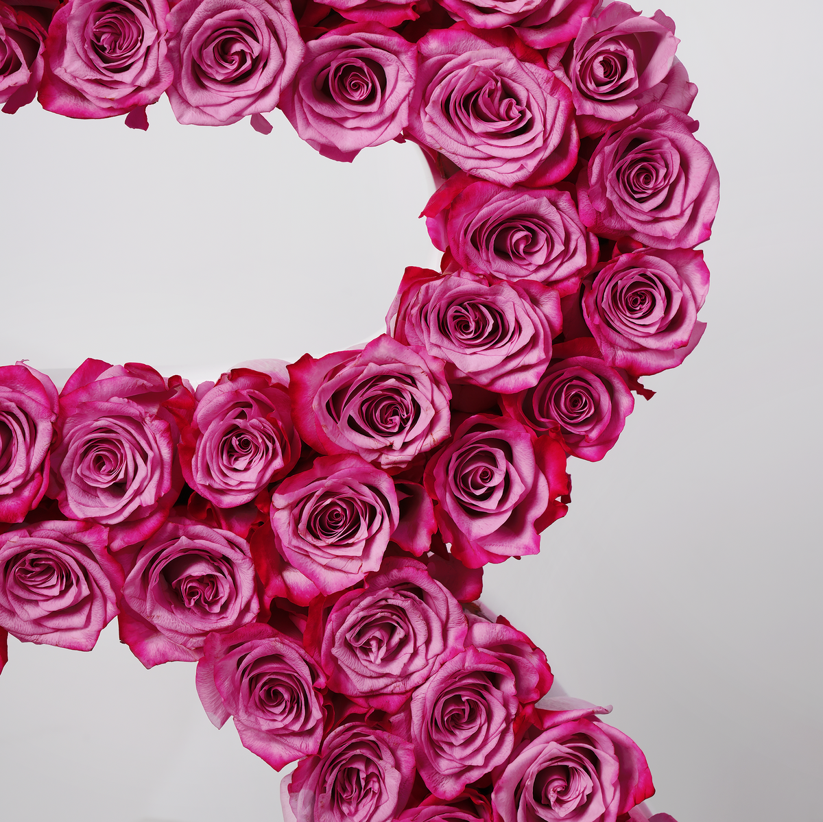 Rose Letter