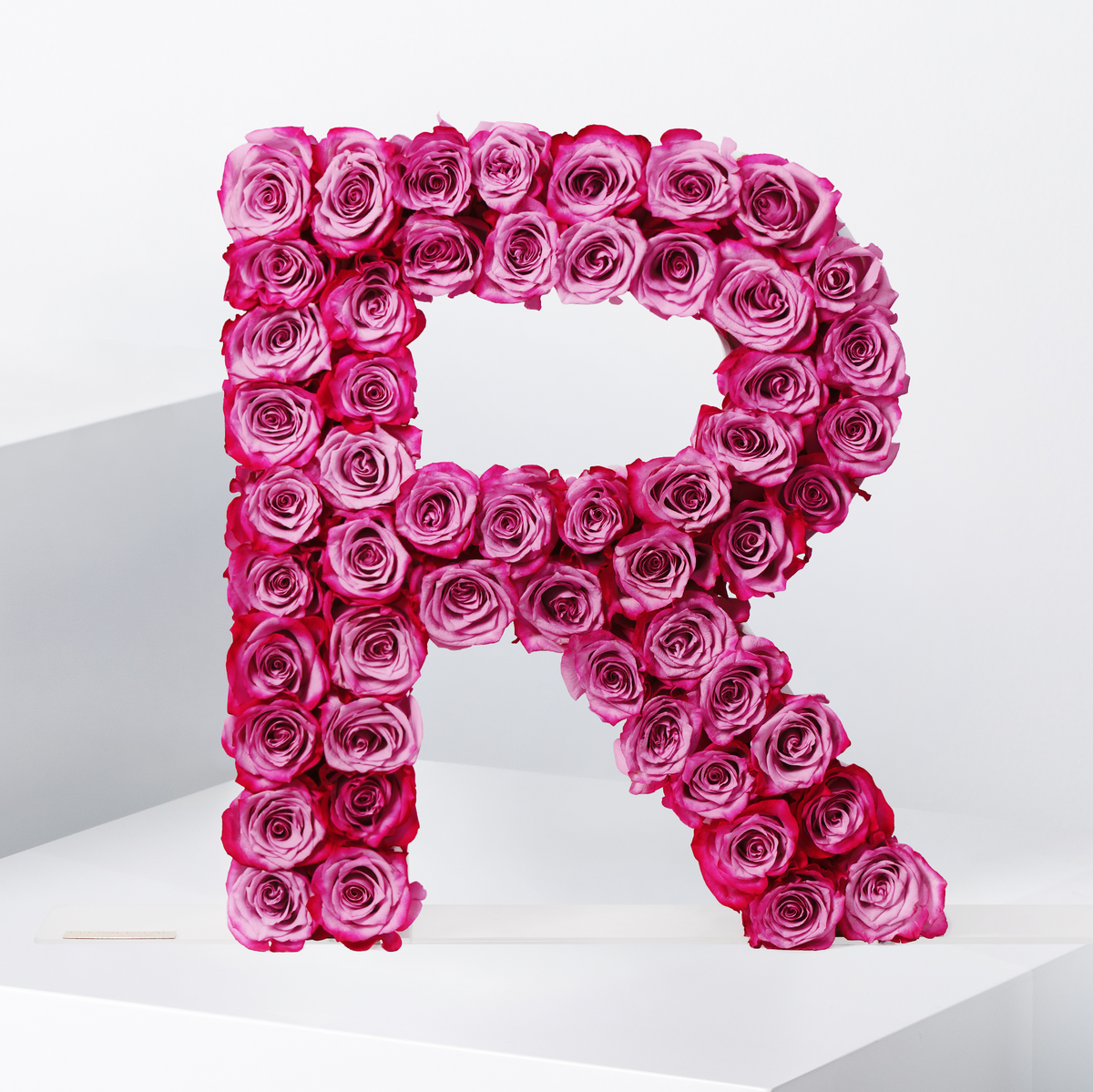 Rose Letter
