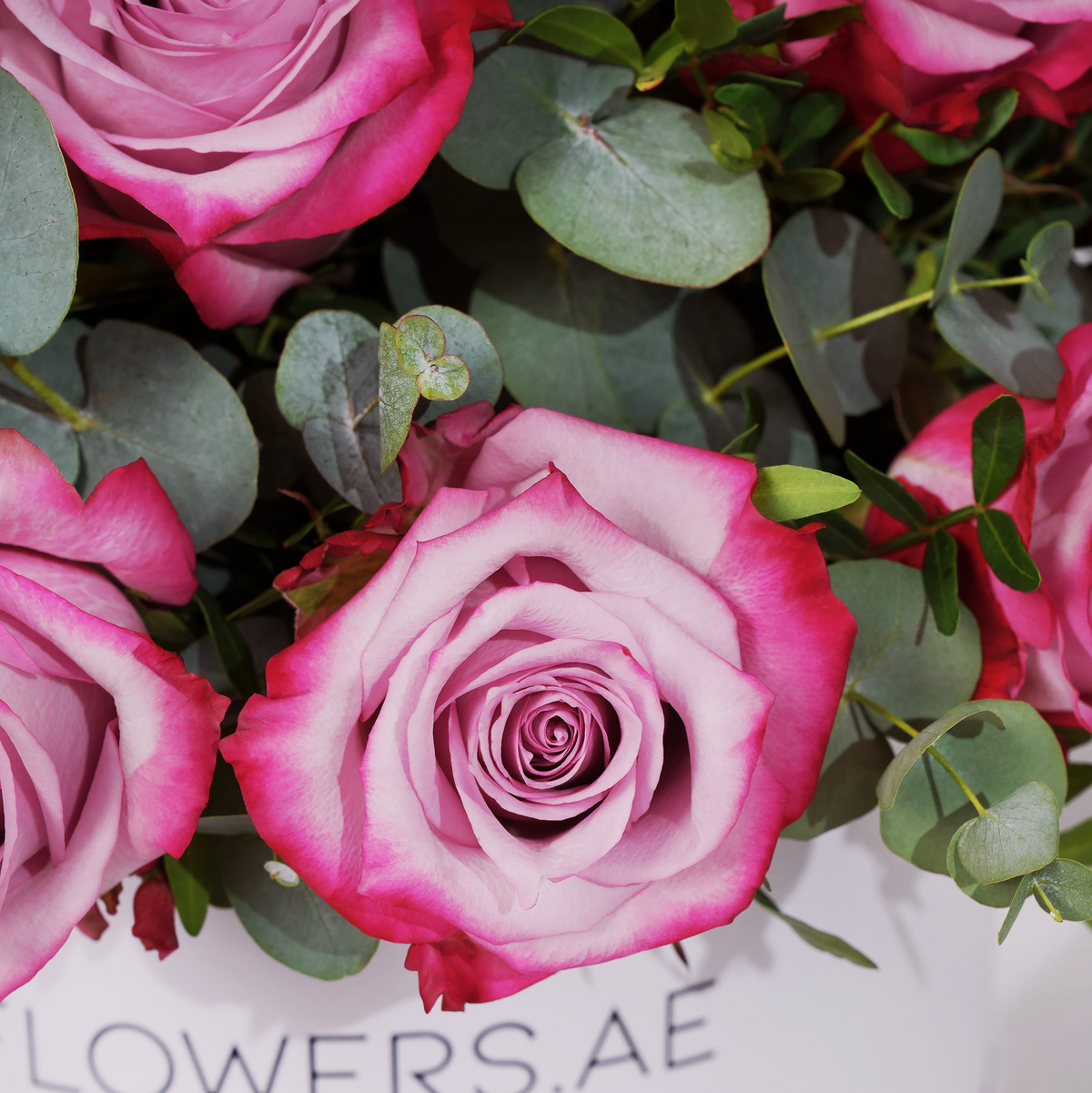Valentine Purple Roses with greens Hatbox