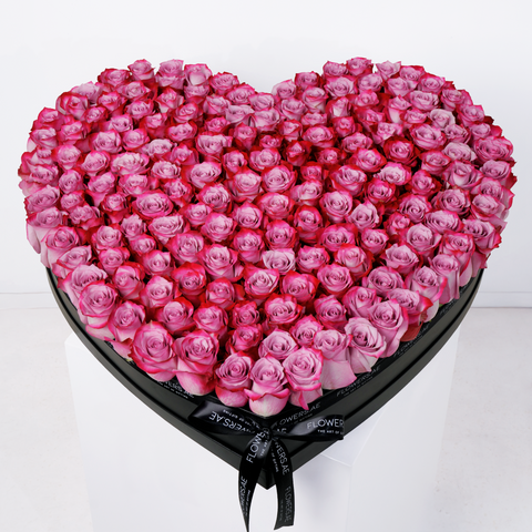 Valentine Purple Heart - XL