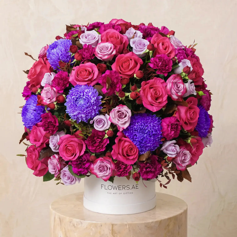 Selene Hatbox