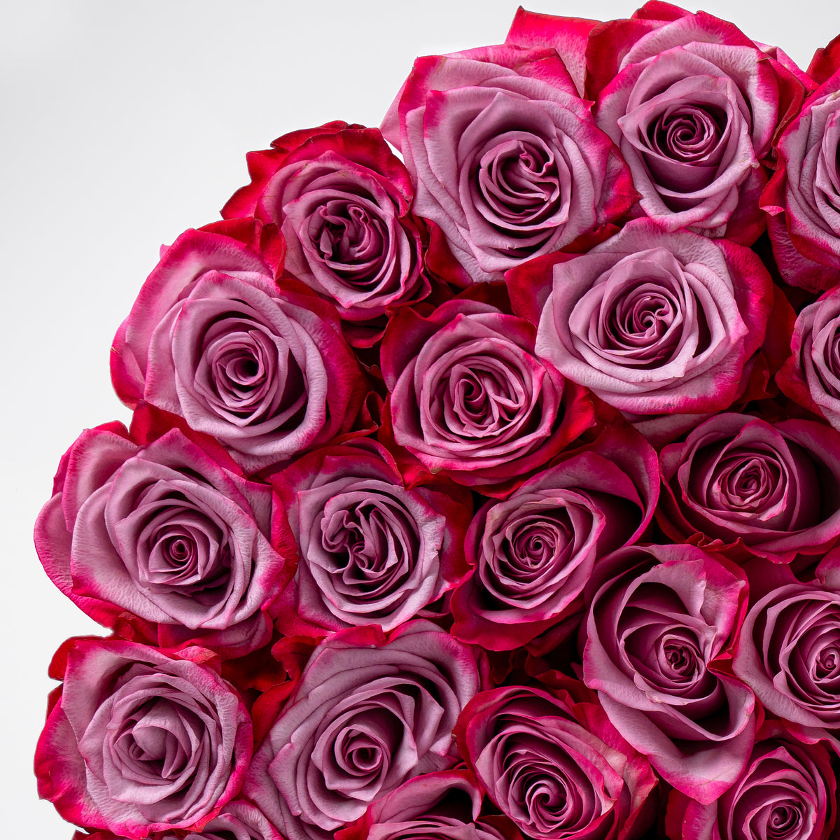 Valentine XXL Purple Roses Hatbox