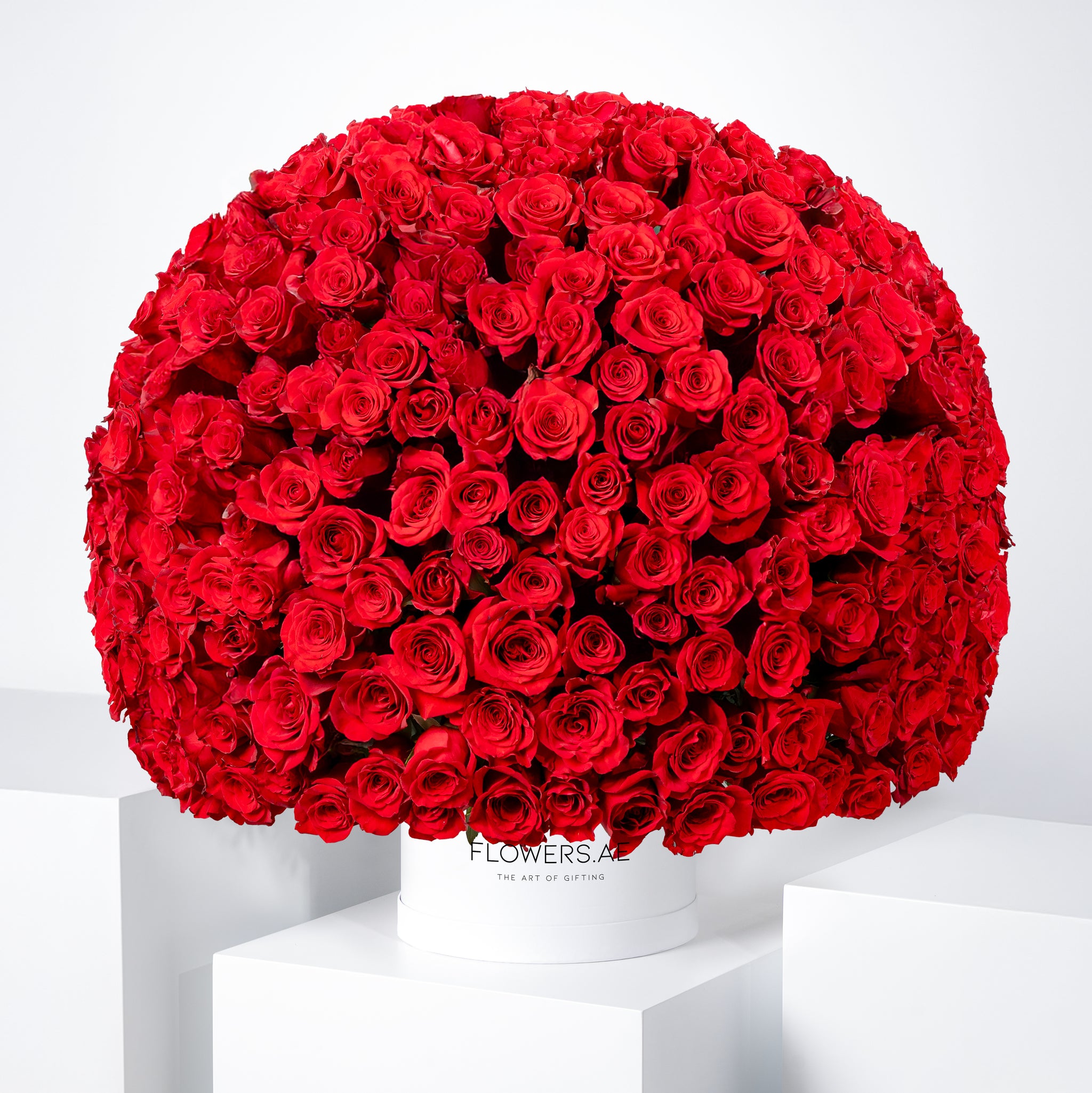 365 Red Roses 365 Red Roses Hatbox | Free Same-Day Delivery to all Emirates - Flowers.ae