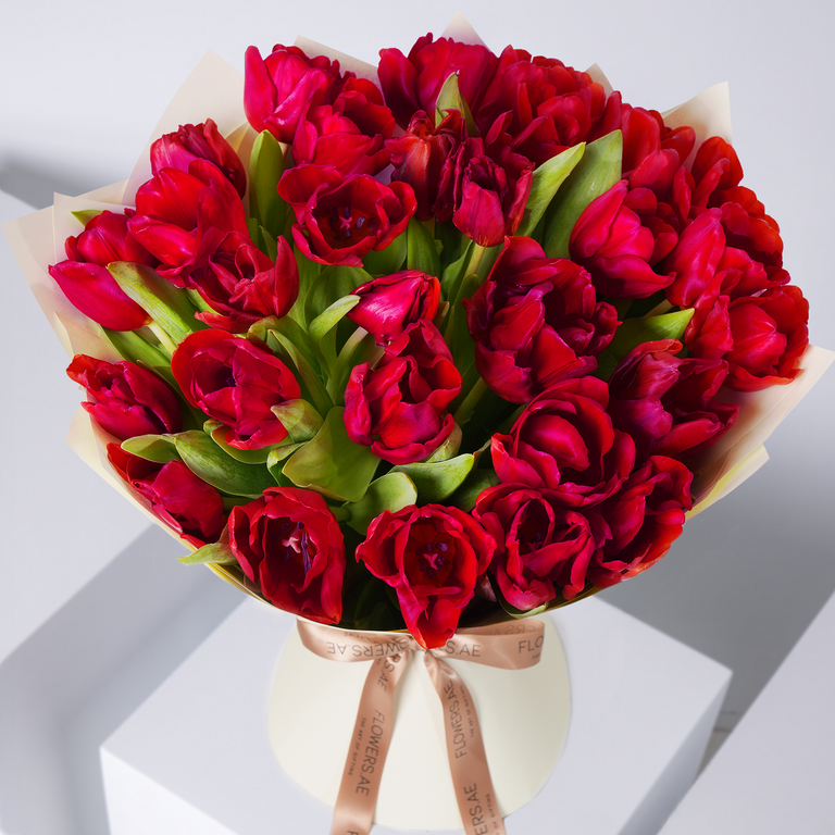 Luxury Red Tulips