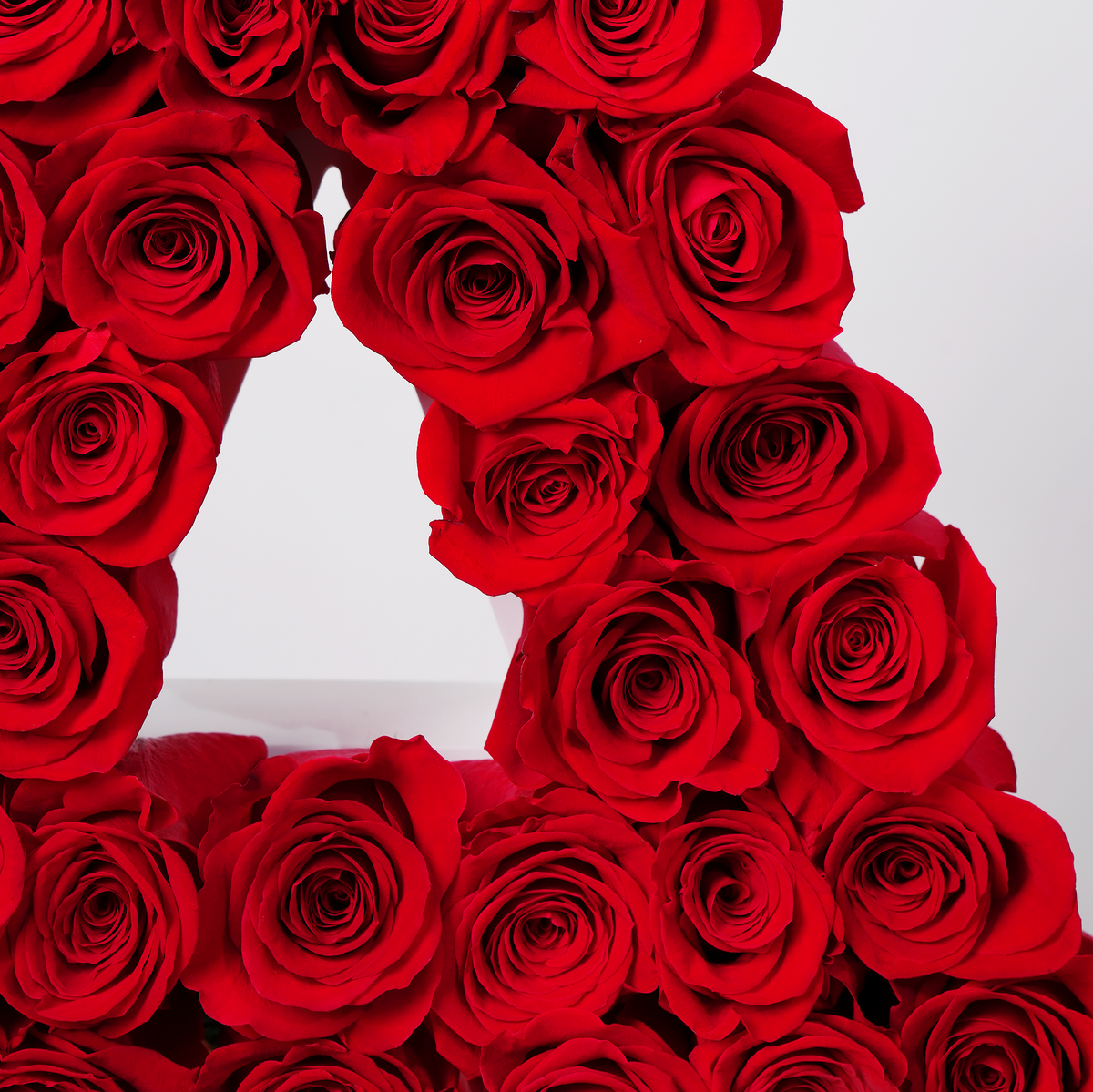 Rose Letter
