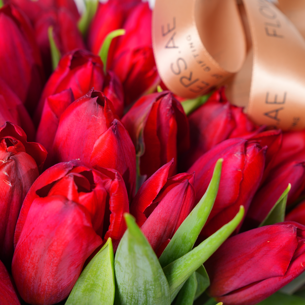 Luxury Red Tulips Basket