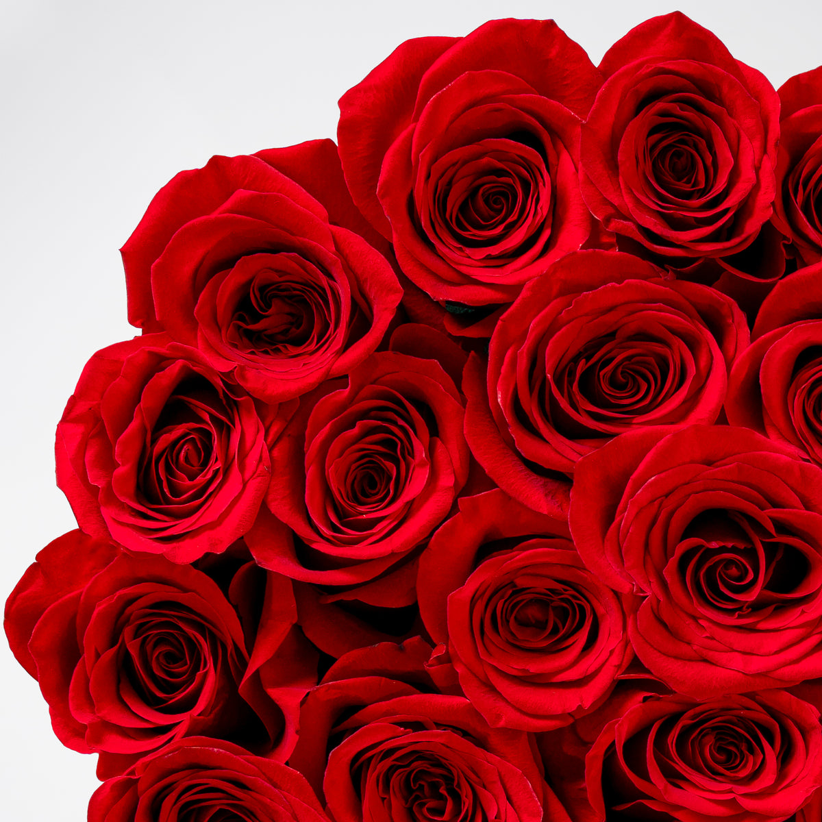 Valentine XXL Red Roses Hatbox
