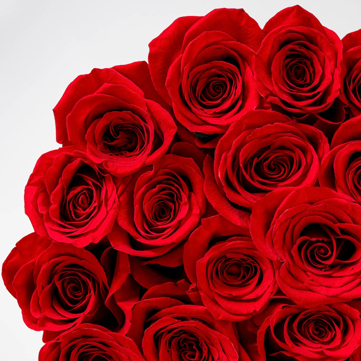 Red Roses Hatbox