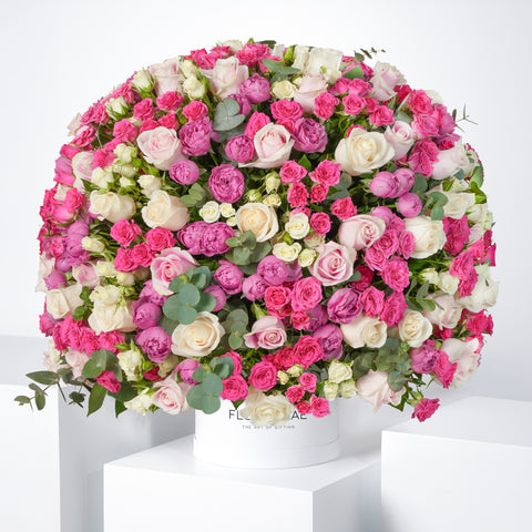 Birthday Rose Harmony