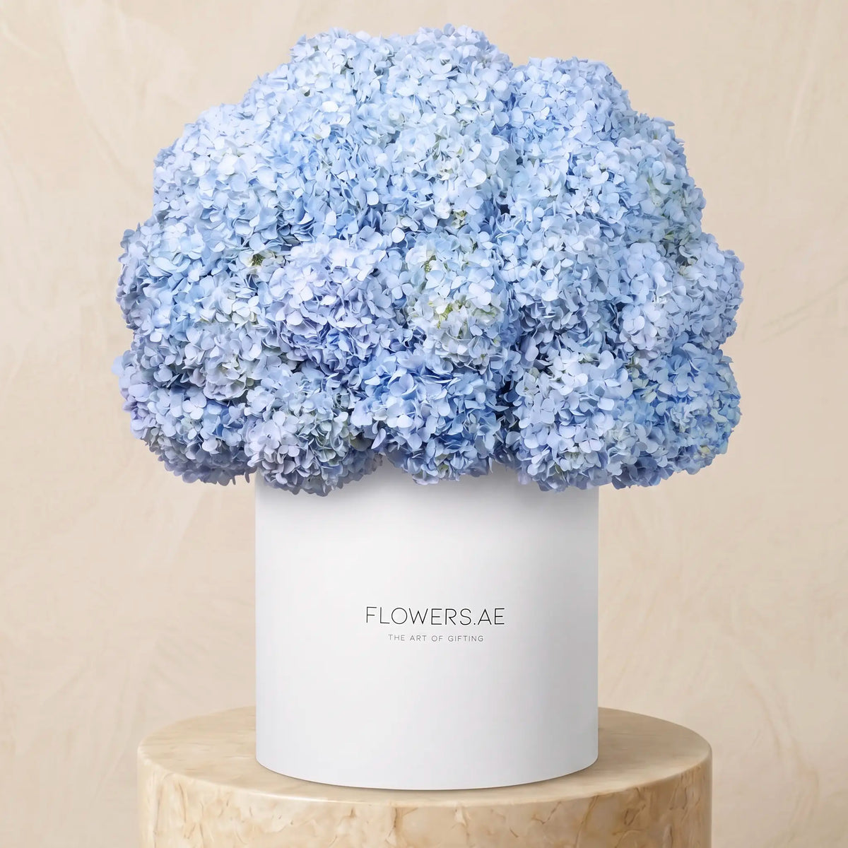 Royale Blue Hydrangea