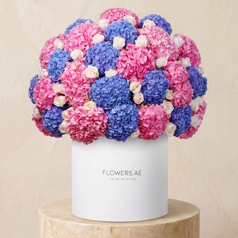 Royale Blush Hydrangea