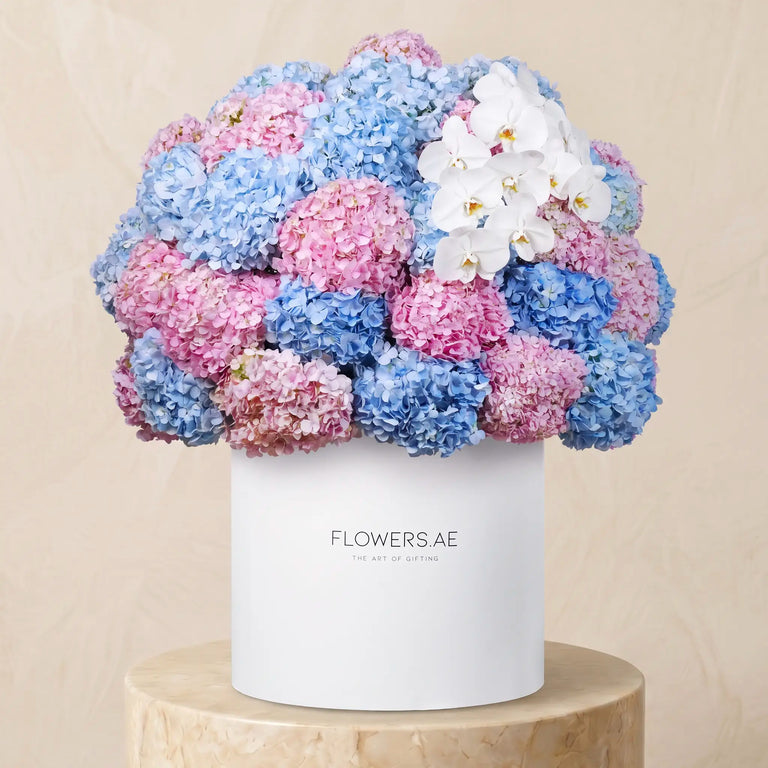 Royale Pastel Hydrangea
