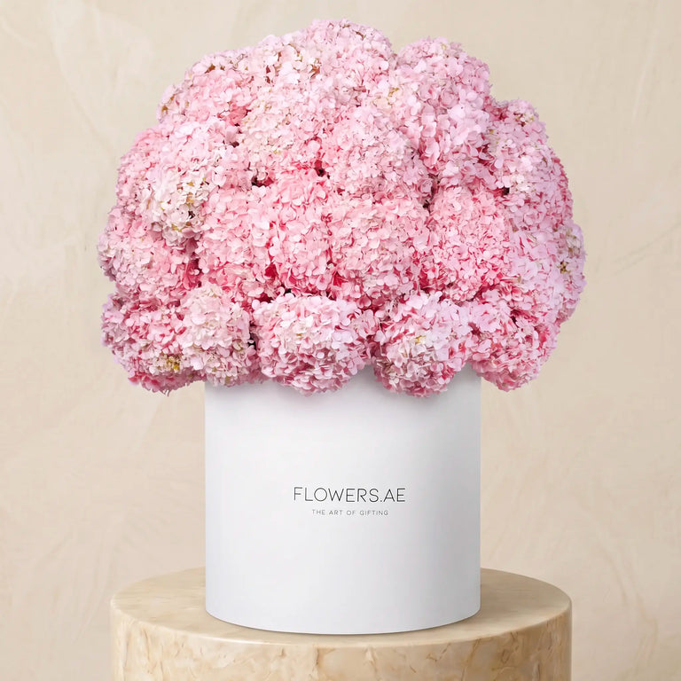 Royale Pink Hydrangea