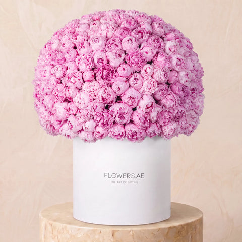 Royale Pink Peony