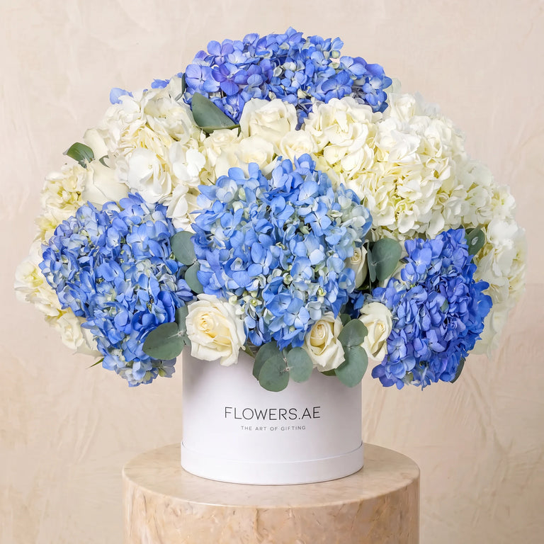 Baby Heavenly Blues Hatbox