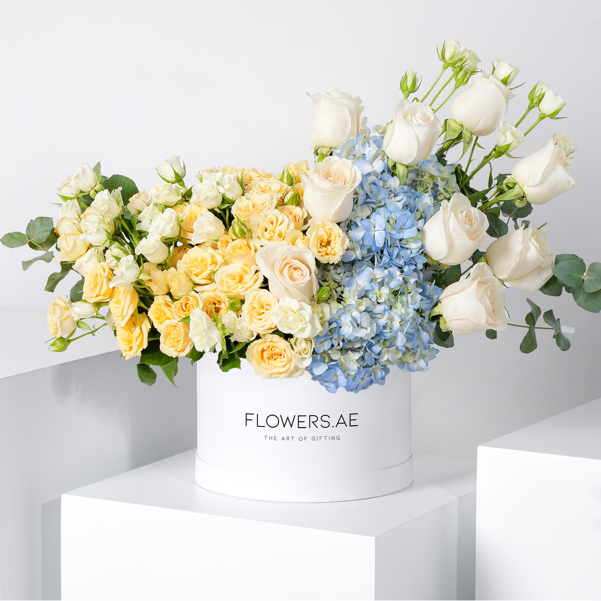 Florence Pastel Hatbox