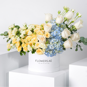 Florence Pastel Hatbox