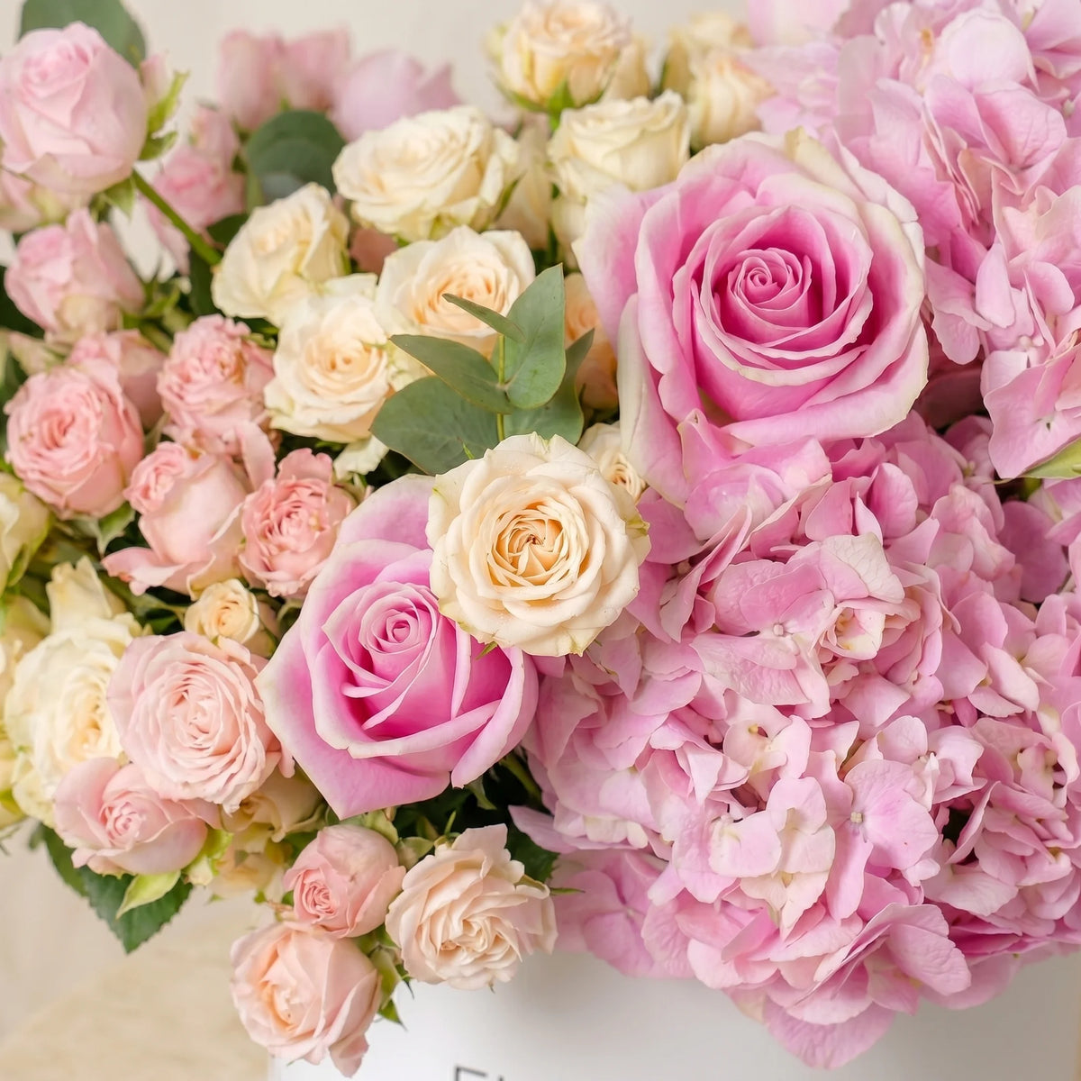 Florence Pink Hatbox