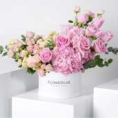 Florence Pink Hatbox