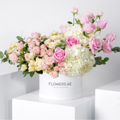 Florence White Hatbox
