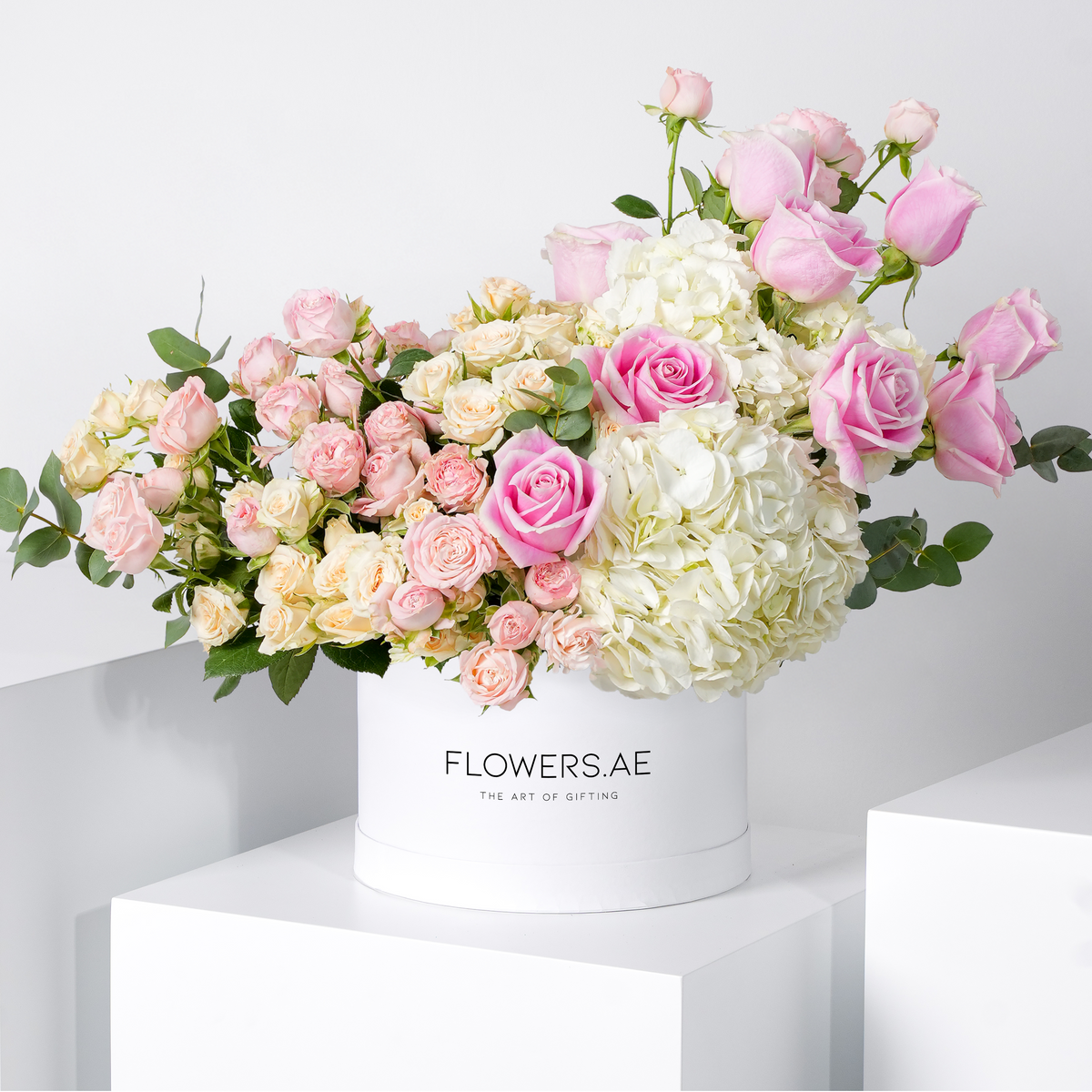 Baby Florence White Hatbox