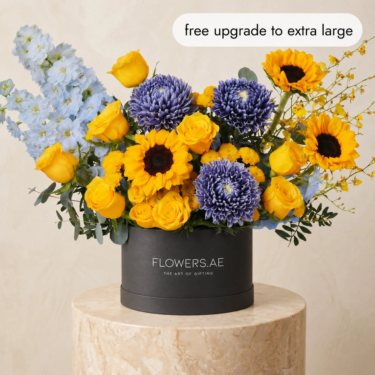 Santorini Hatbox