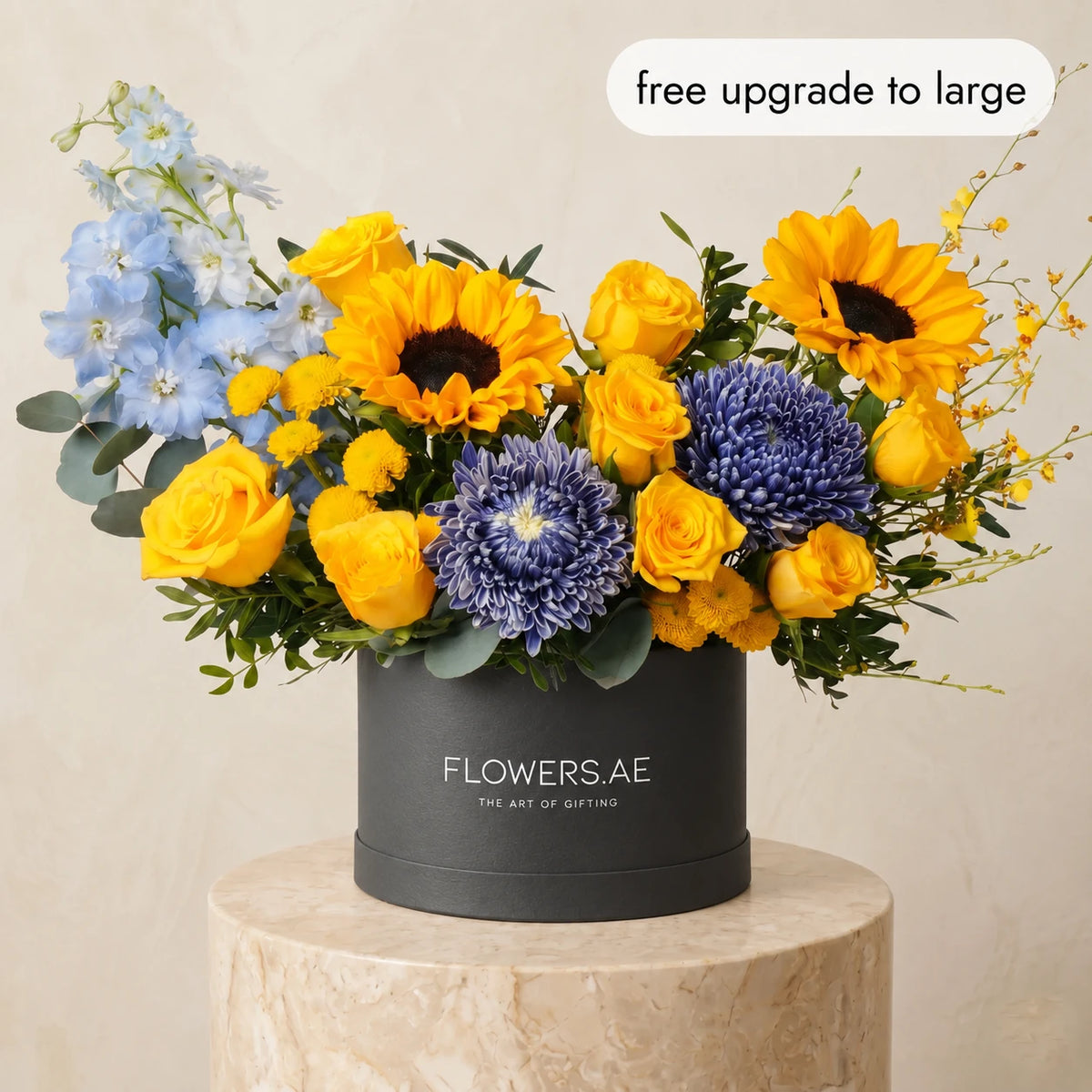 Santorini Hatbox