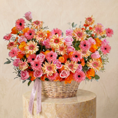 Sorrento Basket