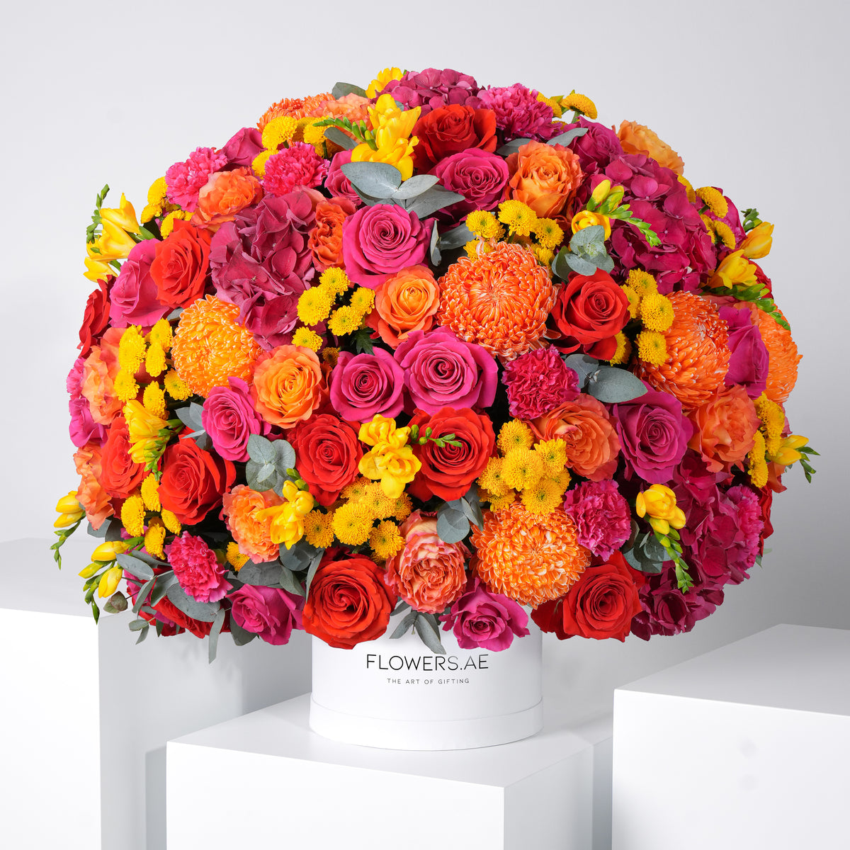 Noura Hatbox